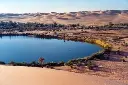 images (77).webp