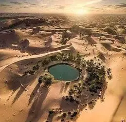 images (76).webp