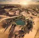 images (76).webp