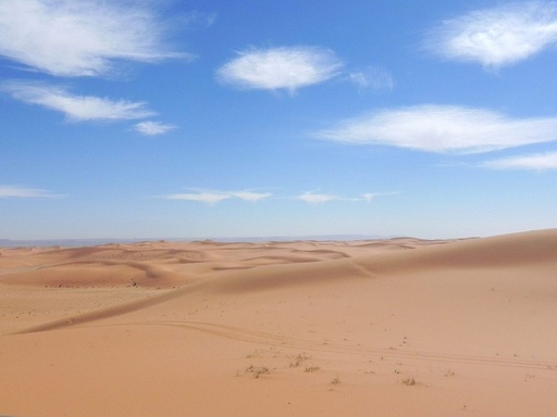 صورة الخدمة